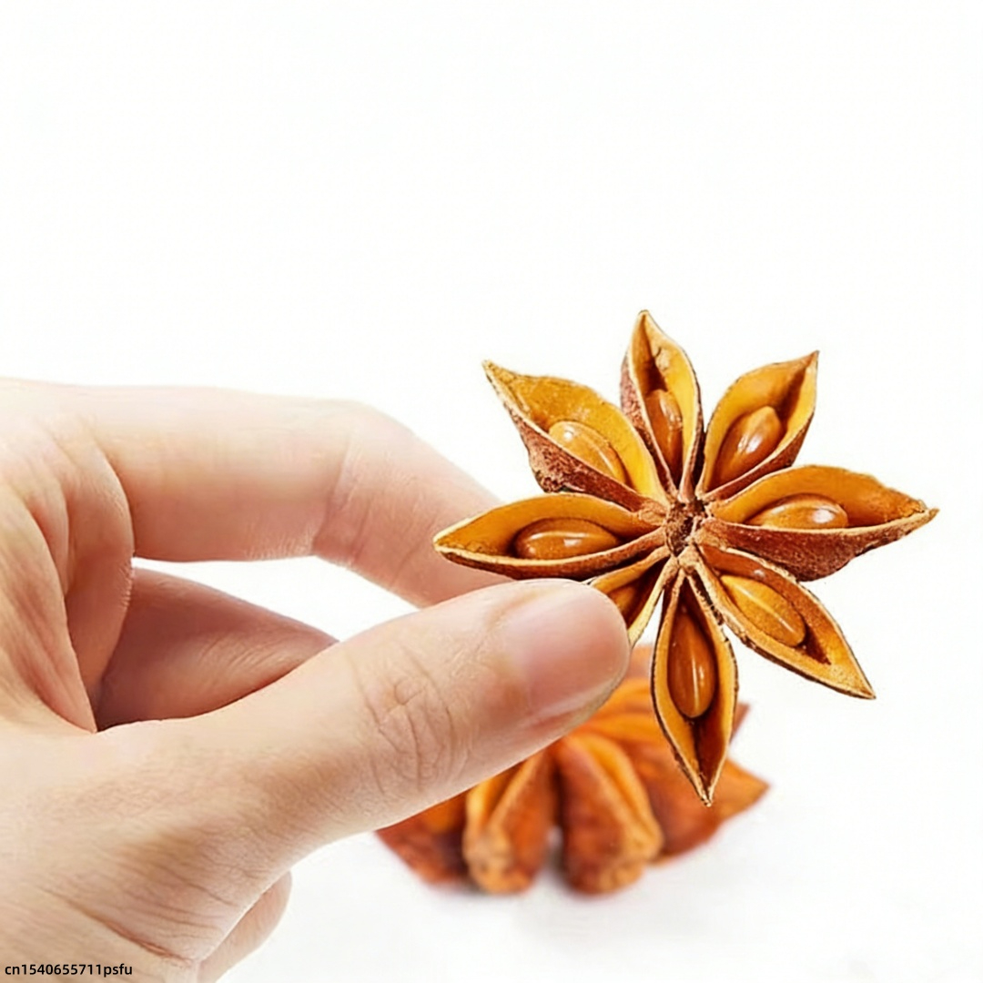Candle Fragrance Supplies - Premium Star Anise Dried Flower Kitchen